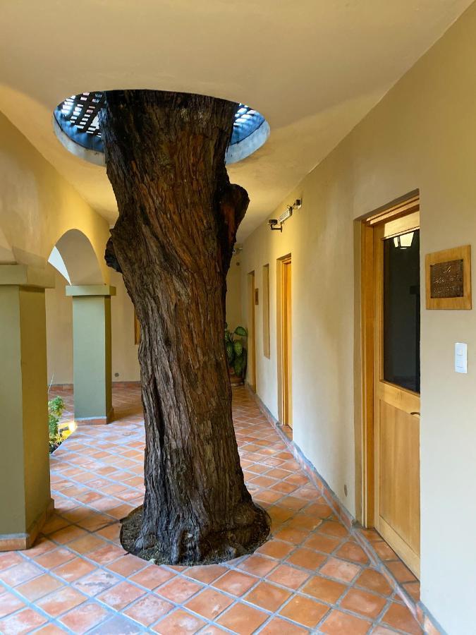 Casa Nare Adults Only Hotel San Miguel de Allende Luaran gambar