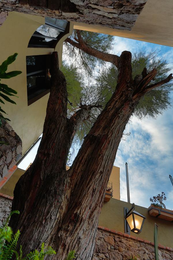 Casa Nare Adults Only Hotel San Miguel de Allende Luaran gambar